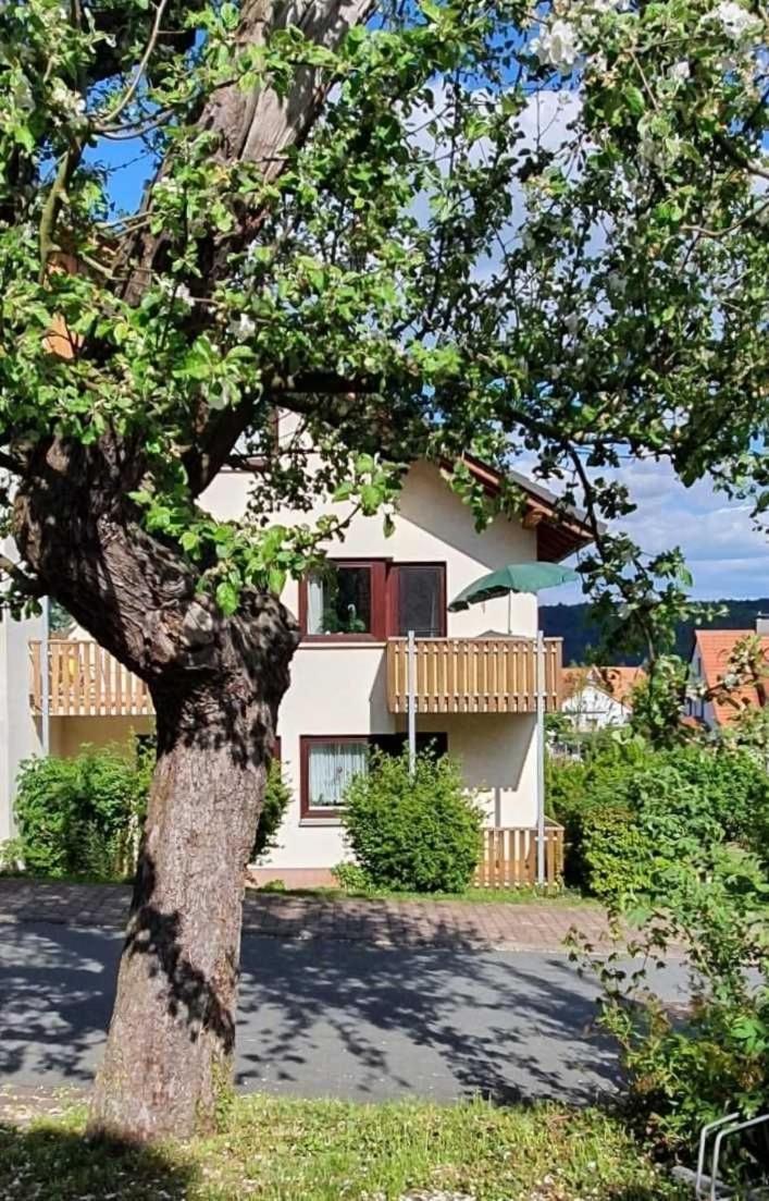 Апартаменты Kleinod Am Kurpark Бад-Цвестен Экстерьер фото